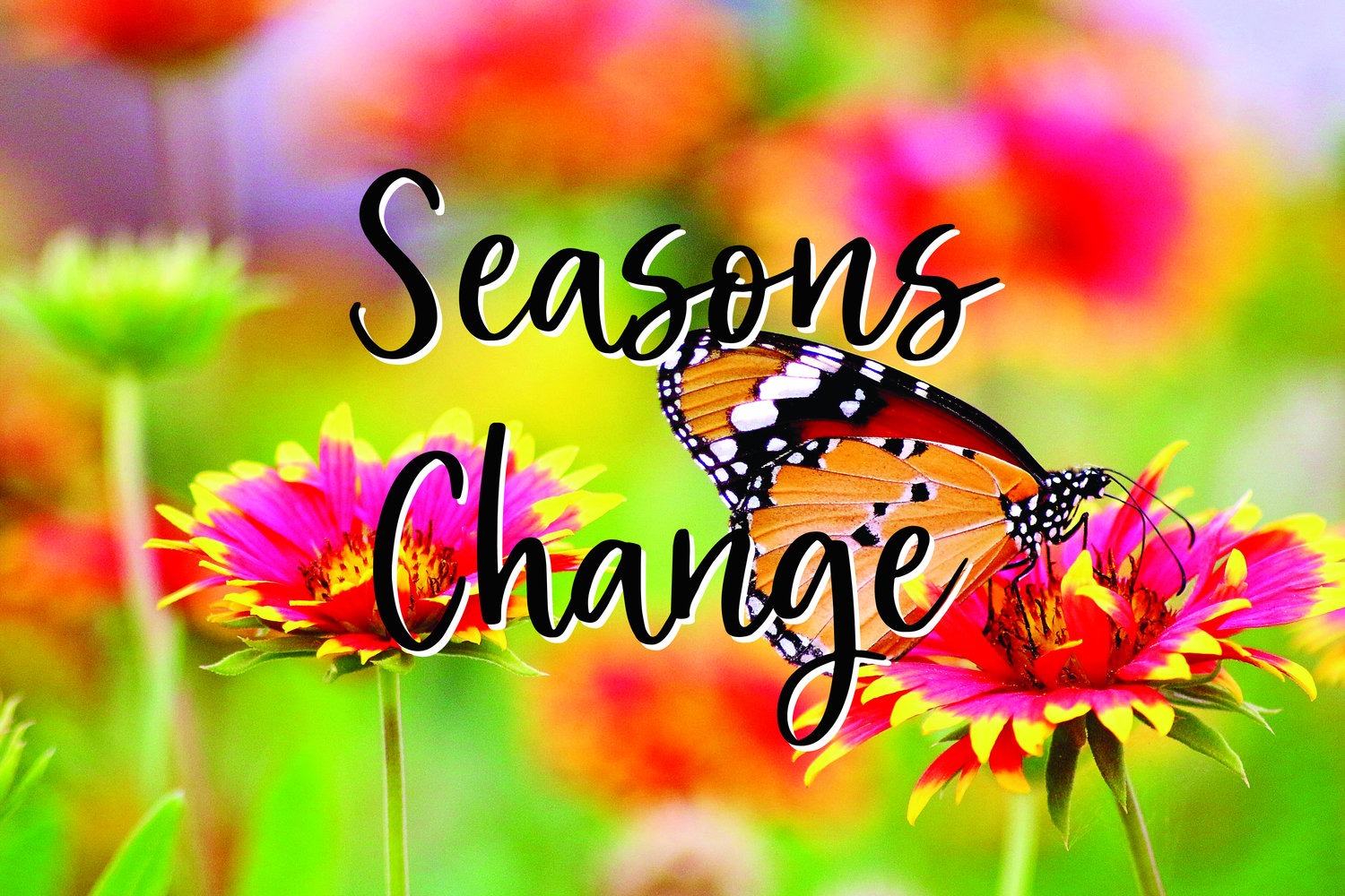 The Change Of Season Chapter 10 Seasons Do Change! – Joy4Life Ministries